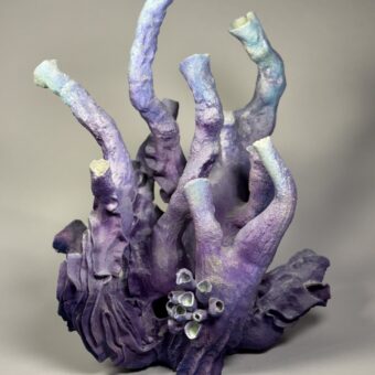 Tubastraea (Purple Tube Coral)