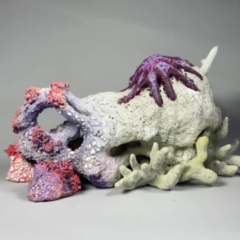 Crown Of Thornes Starfish